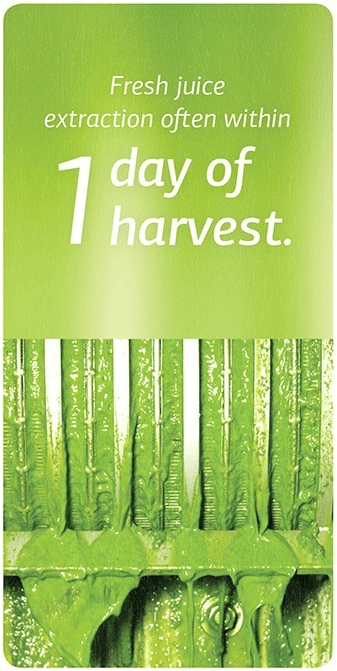 food nutrient solution